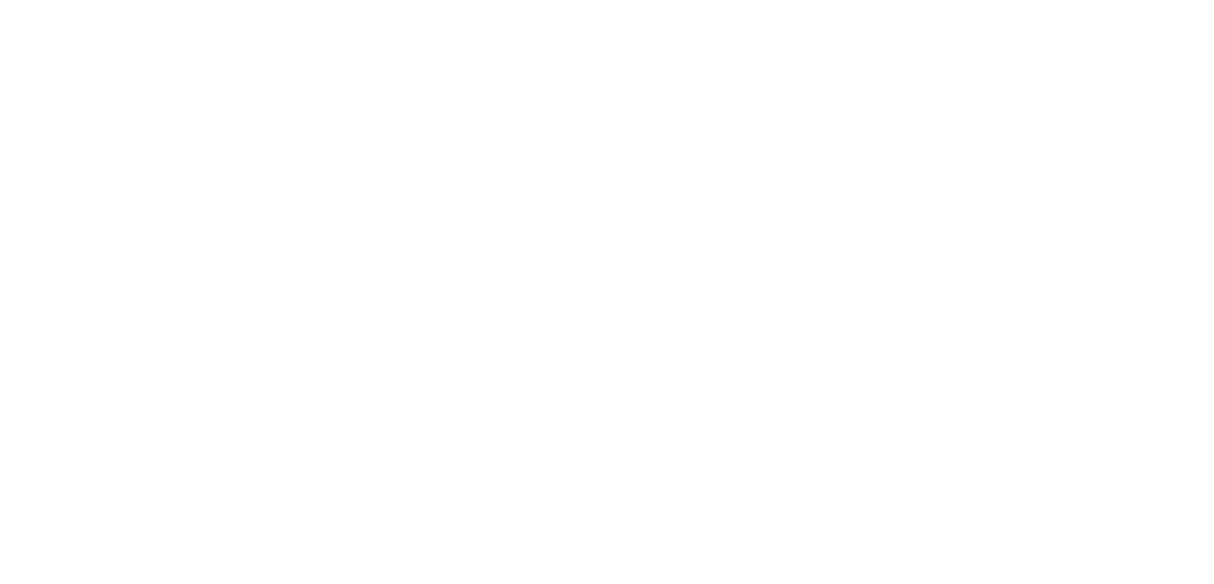 AIV GROUP MOGILEV